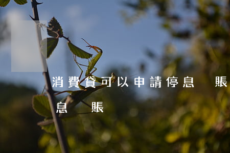 消費貸可以申請停息掛賬嗎(貸款如何申請停息掛賬)