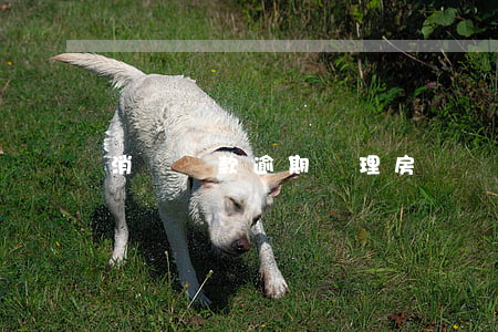 消費貸款逾期辦理房貸嗎(買房貸款逾期)