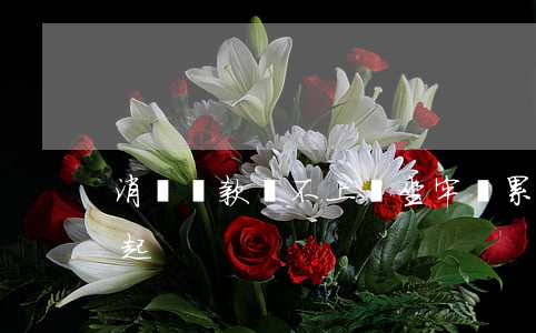 消費貸款還不上會坐牢嗎（累計消費貸款還不起）