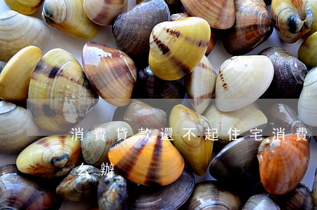 消費貸款還不起住宅(消費貸款還不起住宅怎么辦)