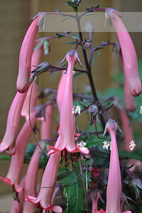 消費貸款關(guān)注是逾期多久(貸款逾期多久會被限制高消費)