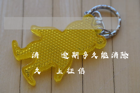 消費貸逾期多久能消除記錄(消費貸款逾期多久會上征信)