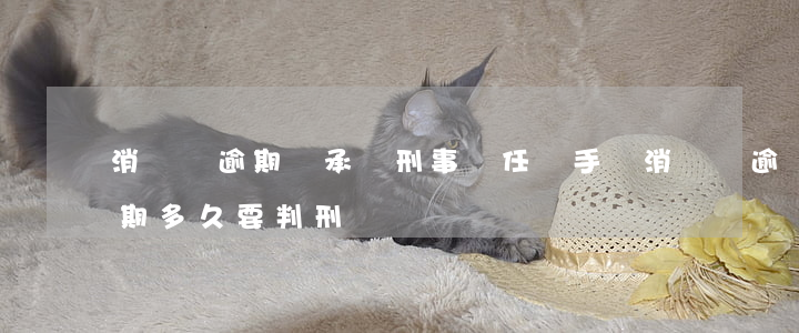 消費貸逾期會承擔刑事責任嗎(手機消費貸逾期多久要判刑)