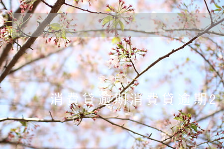 消費貸逾期 消費貸逾期2天會怎樣