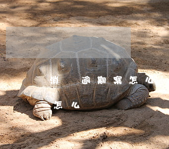 消費逾期案怎么處理(消費金融逾期一年以上怎么辦)