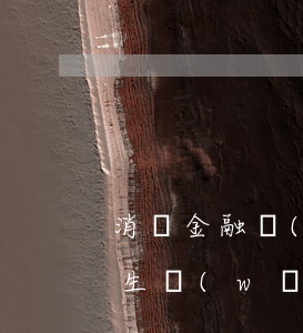 消費金融網(wǎng)貸不還會怎樣(大學生網(wǎng)貸消費的原因)