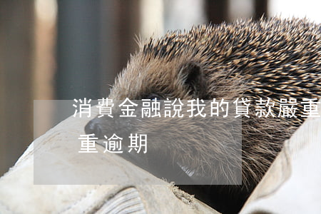 消費金融說我的貸款嚴重逾期(消費金融已嚴重逾期)