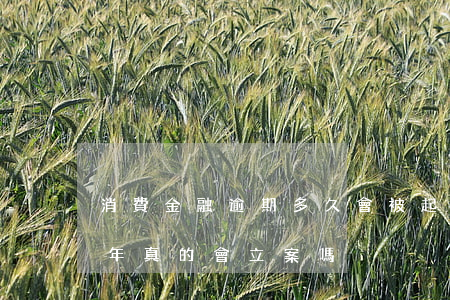 消費金融逾期多久會被起訴(消費金融逾期兩年真的會立案嗎)