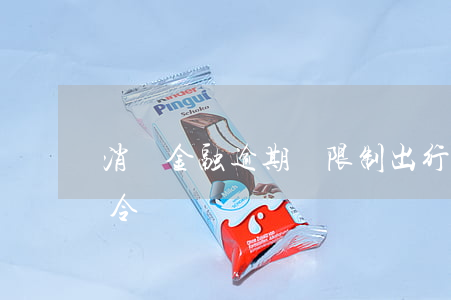 消費金融逾期會限制出行嗎-消費金融限行令