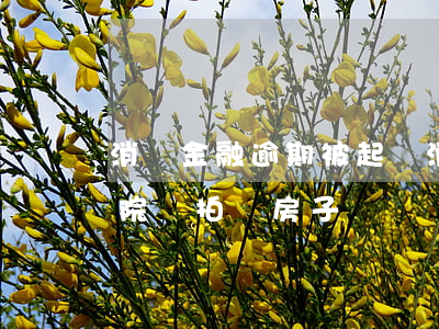 消費金融逾期被起訴(消費金融逾期被起訴,法院會拍賣房子嗎)