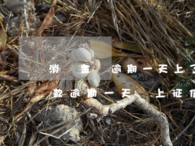 消費金額逾期一天上了征信麻煩嗎-消費貸款逾期一天會上征信嗎