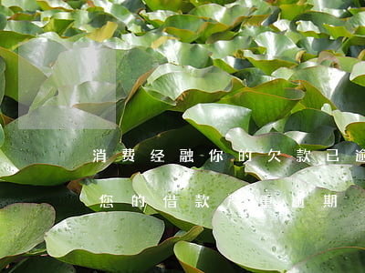 消费经融你的欠款已逾期现提报-消费金融 您的借款严重逾期