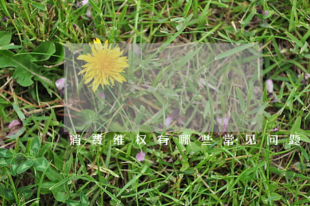 消费维权有哪些常见问题？