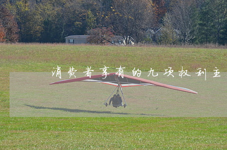 消费者享有的九项权利主要包含哪些内容