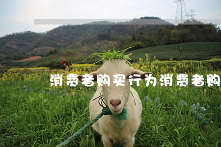 消费者购买行为(消费者购买行为)