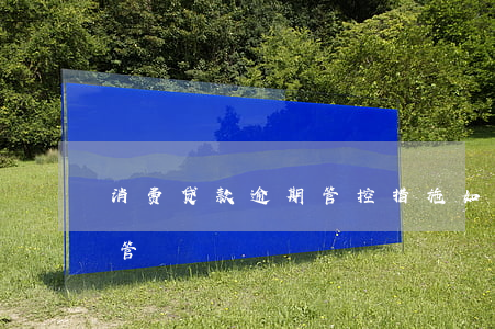 消费贷款逾期管控措施(如何规避消费贷款监管)