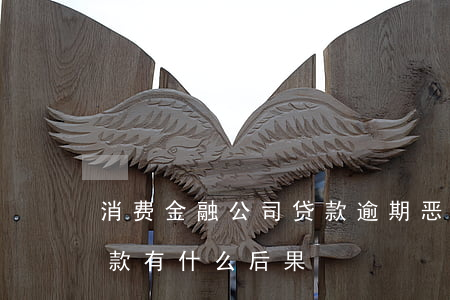 消费金融公司贷款逾期(恶意拖欠消费金融贷款有什么后果)