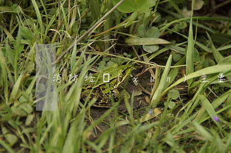 消防培訓(xùn)主要內(nèi)容