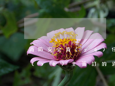 消防安全責(zé)任書(物業(yè)與業(yè)主簽訂的消防安全責(zé)任書)