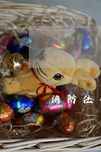 消防法律法規(guī)