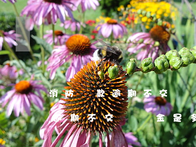 消防罰款逾期不交違約金是多少-消防罰款逾期不交違約金是多少錢