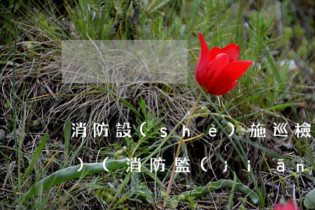 消防設(shè)施巡檢法律法規(guī)(消防監(jiān)督檢查規(guī)定的法規(guī)全文)