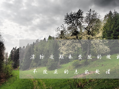 消防逾期未整改的做相应的处罚-消防逾期不改正的怎么处理