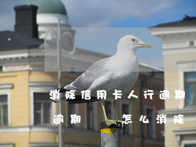 消除信用卡人行逾期記錄(個人征信有信用卡逾期記錄怎么消除)