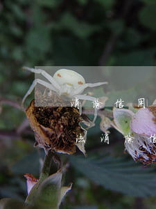 消除信用卡嚴(yán)重逾期-有什么辦法消除信用卡逾期記錄