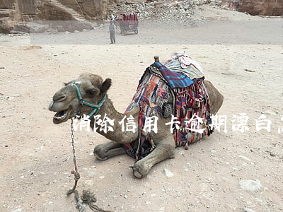 消除信用卡逾期漂白(怎么樣消除信用卡逾期記錄)