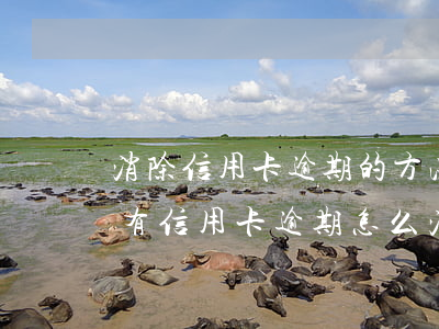 消除信用卡逾期的方法中國(guó)(征信有信用卡逾期怎么消除)