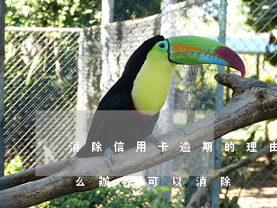 消除信用卡逾期的理由(信用卡逾期有沒有什么辦法可以消除)