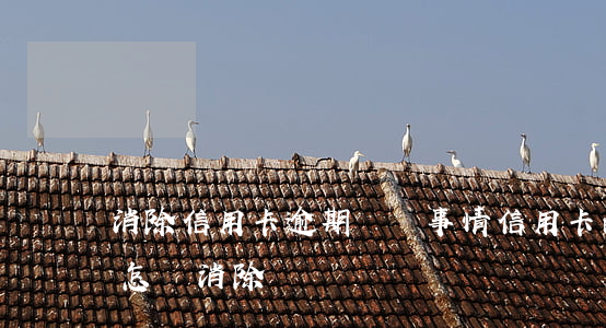 消除信用卡逾期記錄事情(信用卡的逾期記錄怎樣消除)