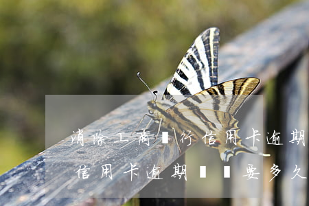 消除工商銀行信用卡逾期記錄(消除工商銀行信用卡逾期記錄要多久)
