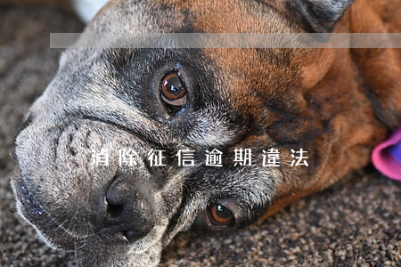 消除征信逾期違法