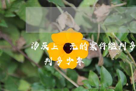 涉及上億元的案件能判多少(涉案1000萬 會判多少年?)