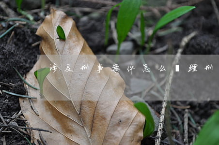 涉及刑事案件怎么處理(刑事案件怎么辦)