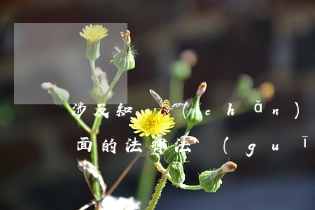 涉及知識產(chǎn)權(quán)方面的法律法規(guī)(我國知識產(chǎn)權(quán)相關(guān)法律法規(guī)有哪些)
