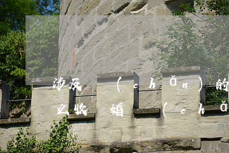 涉及財產(chǎn)的離婚案件訴訟費怎么收(離婚財產(chǎn)糾紛訴訟費收費標準)