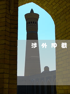 涉外仲裁裁决在国外执行问题