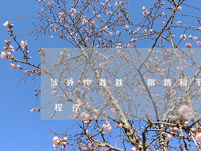 涉外仲裁裁決撤銷和不予執(zhí)行的程序