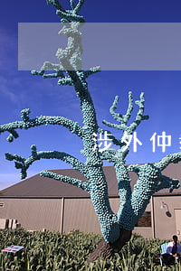 涉外仲裁裁決的執(zhí)行