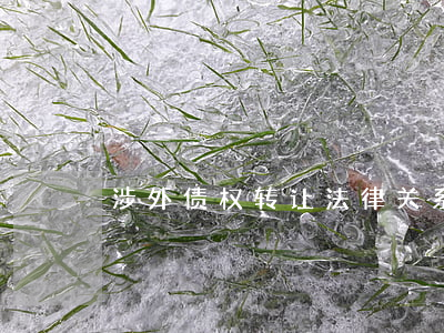 涉外债权转让法律关系有什么性质