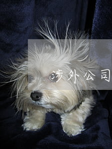 涉外公司保密協(xié)議