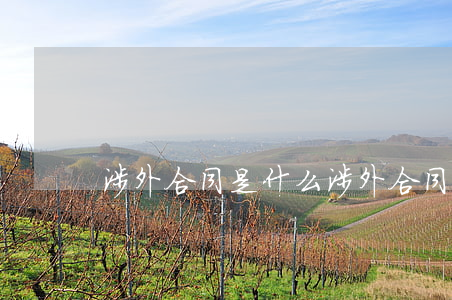 涉外合同是什么（涉外合同糾紛哪個法院管轄）