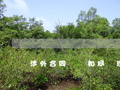 涉外合同糾紛如何處理
