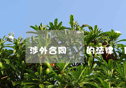 涉外合同糾紛的法律適用是什么