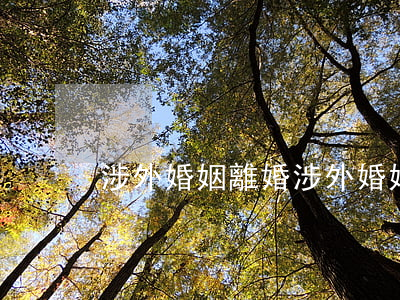 涉外婚姻離婚(涉外婚姻離婚怎么辦理)