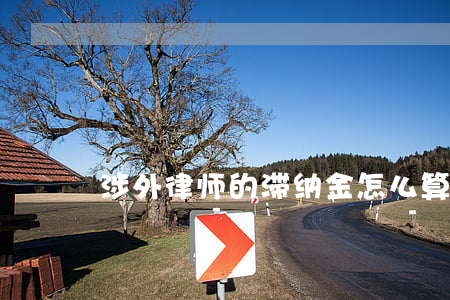 涉外律师的滞纳金怎么算(涉外律师收费标准)