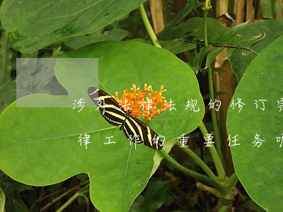 涉外法律法规的修订完善(怎么加强涉外法律工作的重要任务呢)
